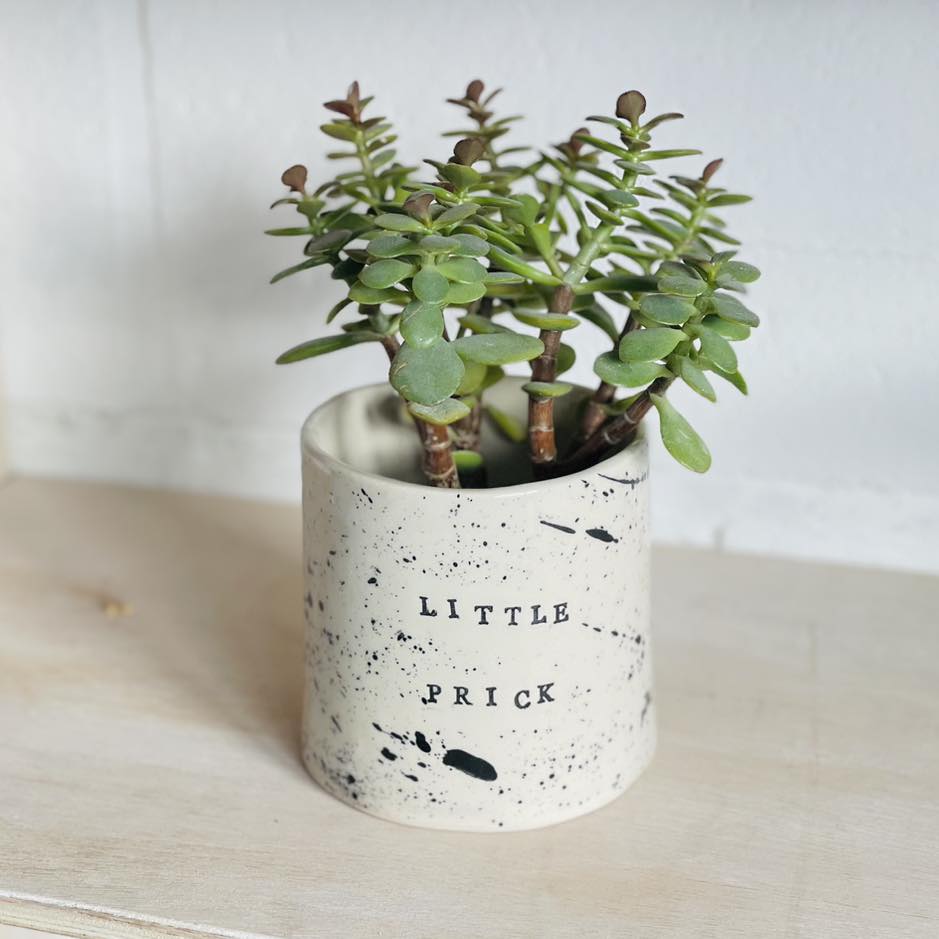 CHISEL POTTERY - A very honest pot 🤭 Slab built by Anna...