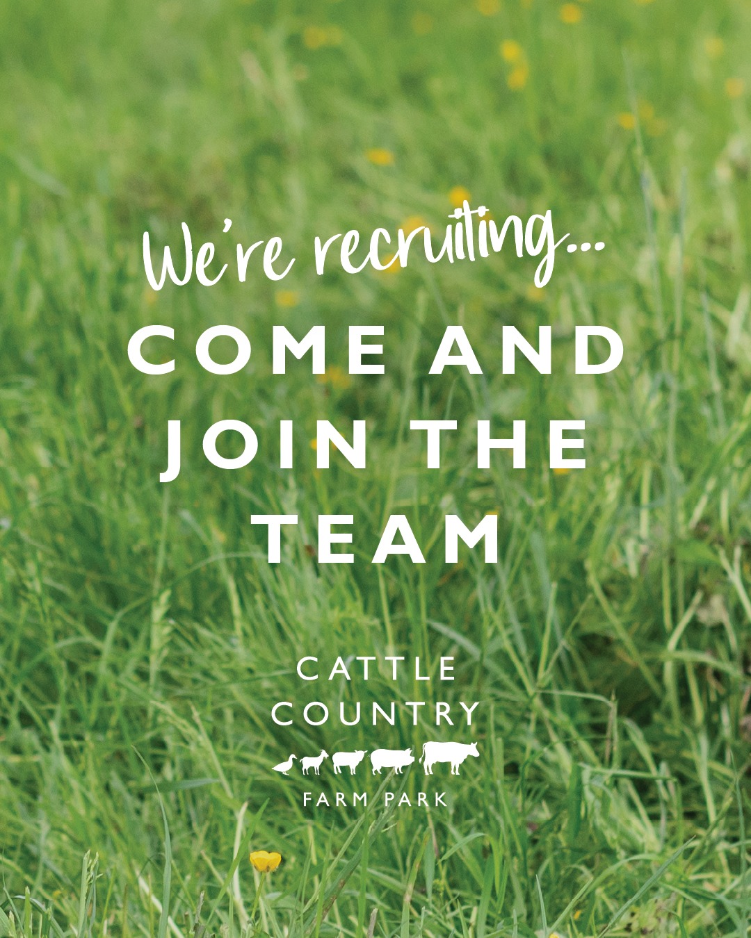 Join the Team at Cattle... - Cattle Country Farm Park | Facebook