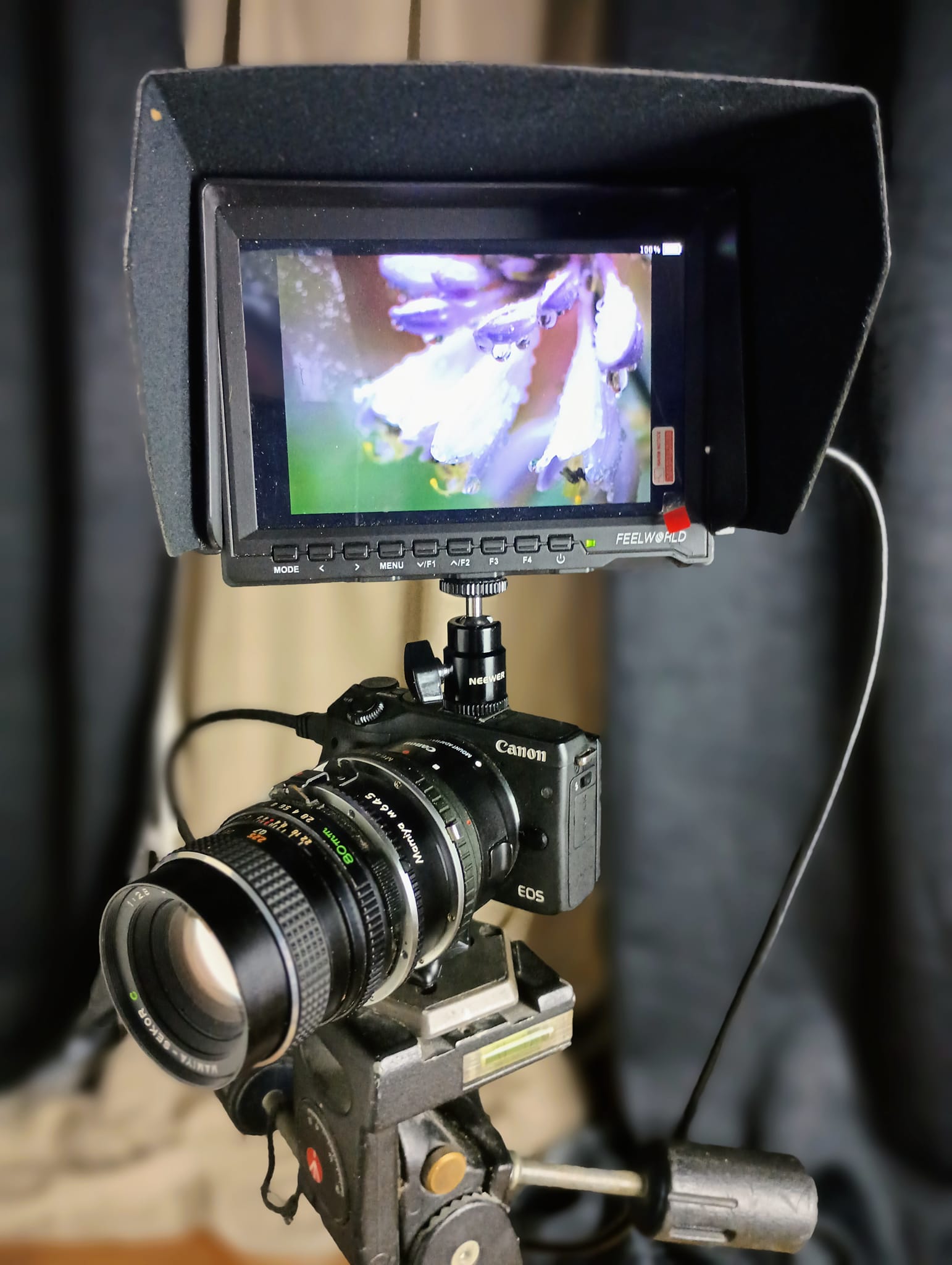 Mamiya-Sekor C 80mm f/2.8 lens test shots