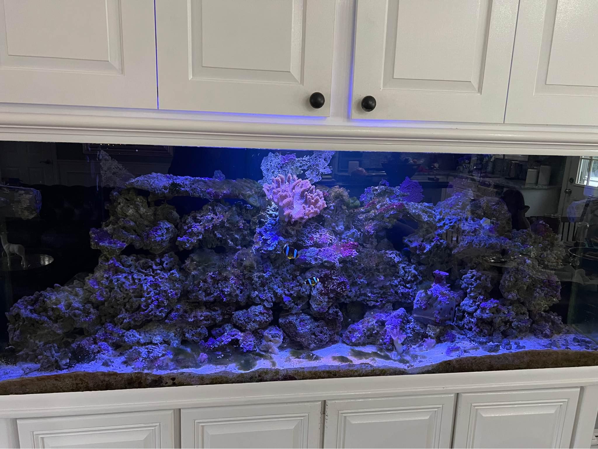 150 gallon saltwater reef tank for sale - Aquariums - Rocky Point, New ...