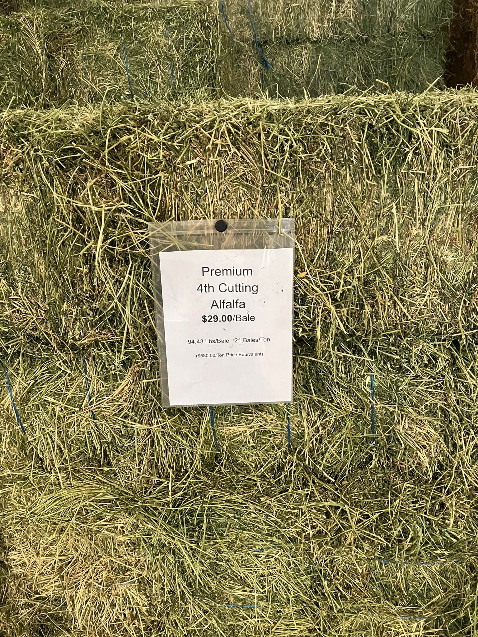 PRODUCT SPOTLIGHT!! Beautiful horse... Western Hay Sales Facebook
