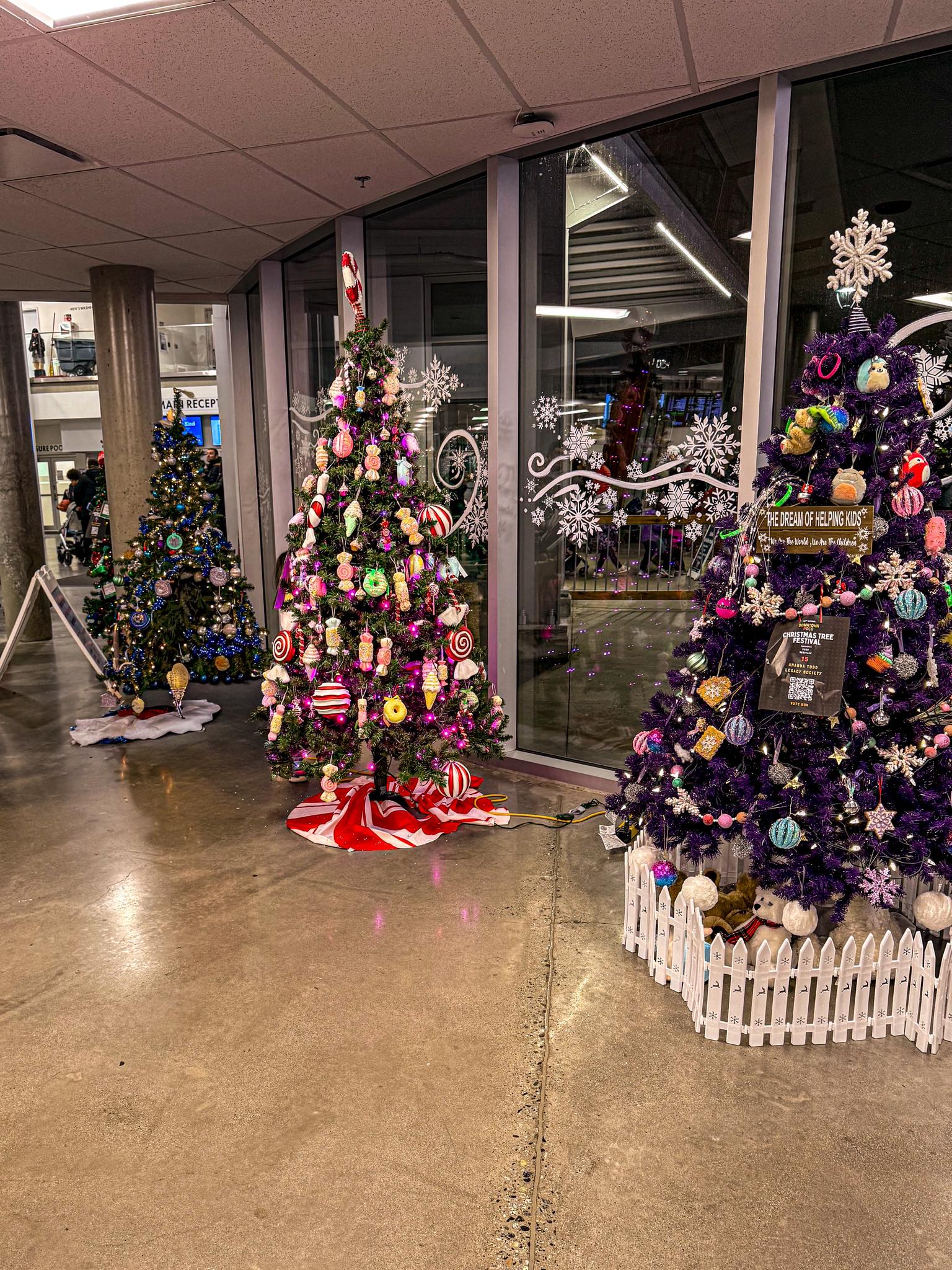 Poco Living - 🎄 The Christmas Tree Festival is filling... | Facebook