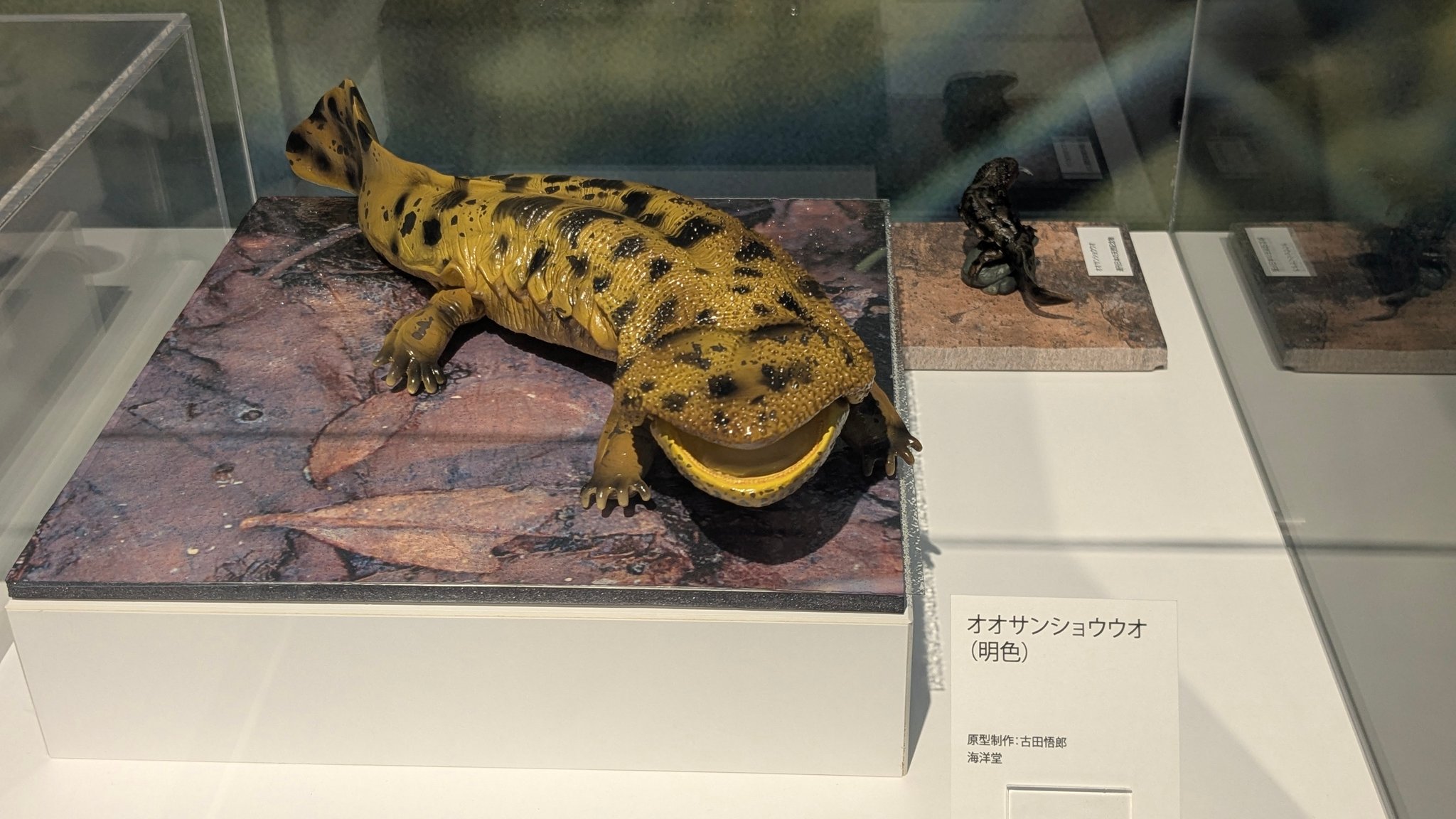 倉吉のフィギュアミュージアム、さすが、オオサンショウウオの
