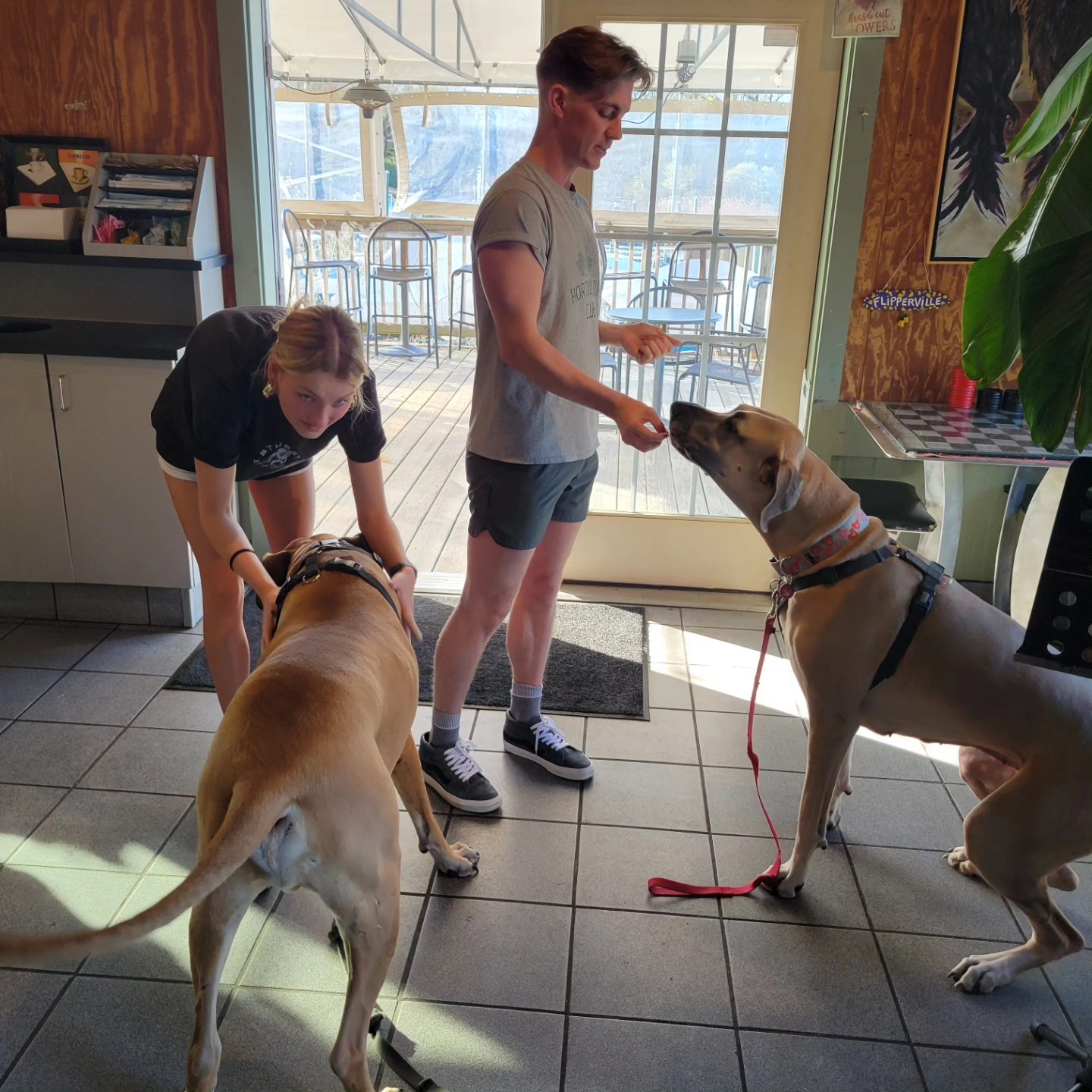 The Daily Duke Report