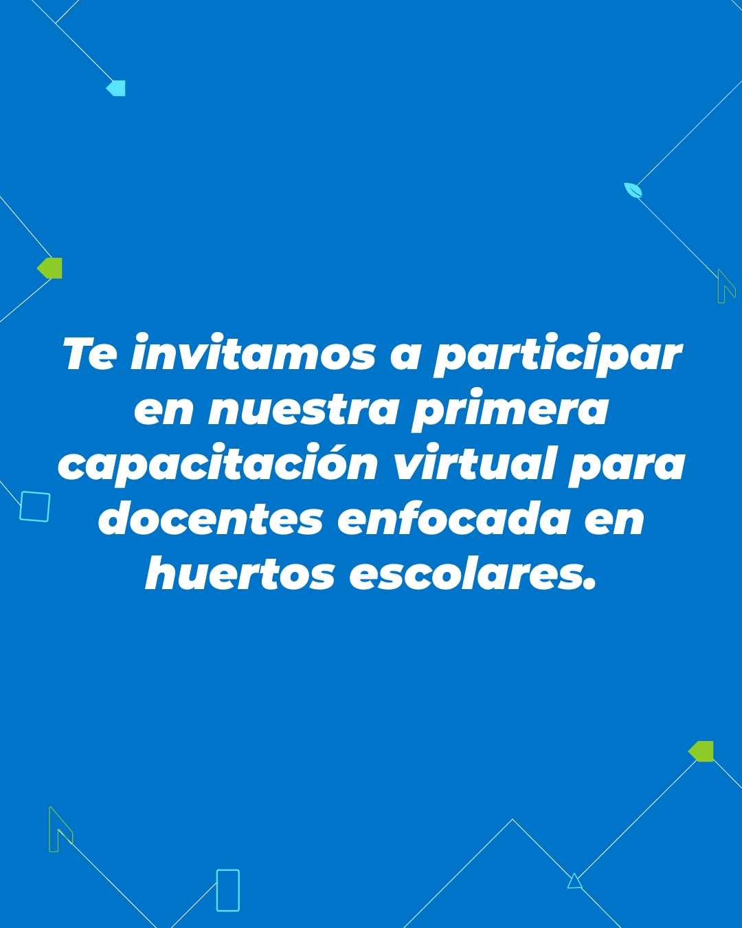 TAGMA - Una Escuela Sustentable - ¿Sabías que el bambú es un recurso ...
