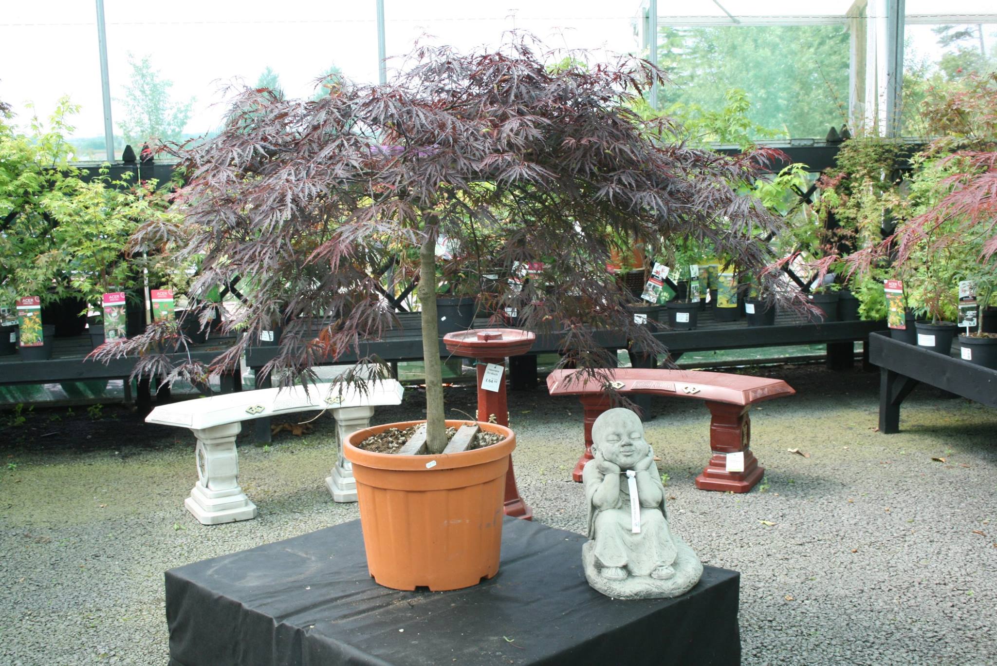 Highfield Garden World added a... - Highfield Garden World