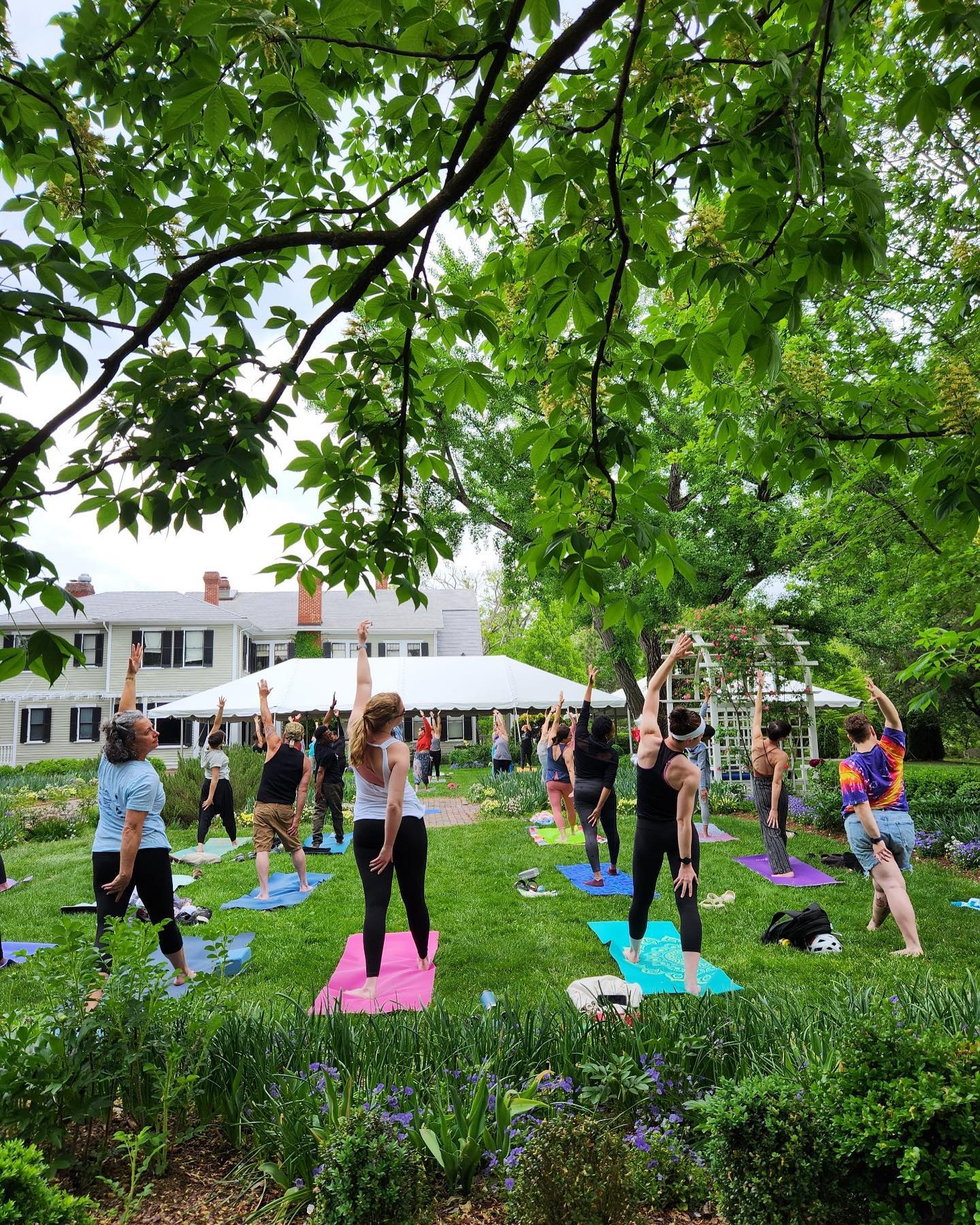 Project Yoga Richmond | Richmond VA