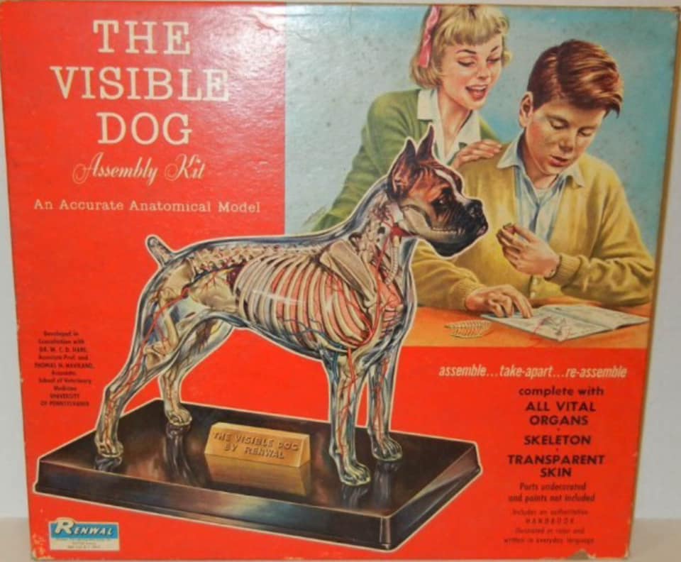 THE VISIBLE DOG Assembly Kit Renwal, 1961 Click for Full Image