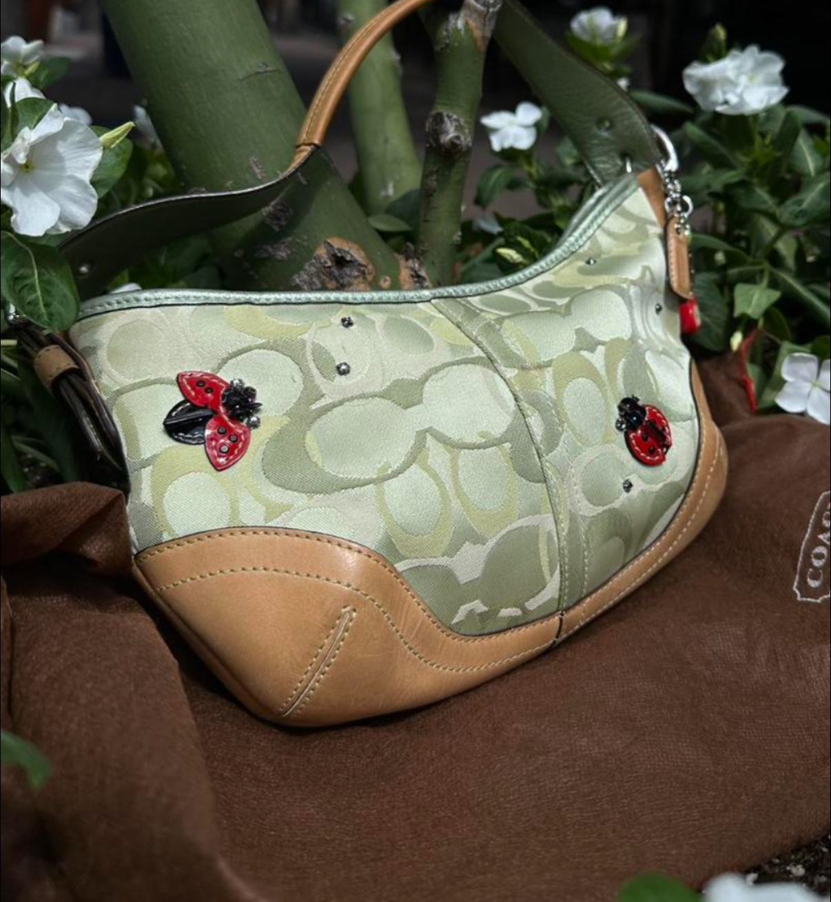 ISO this lady bug collection! I didn