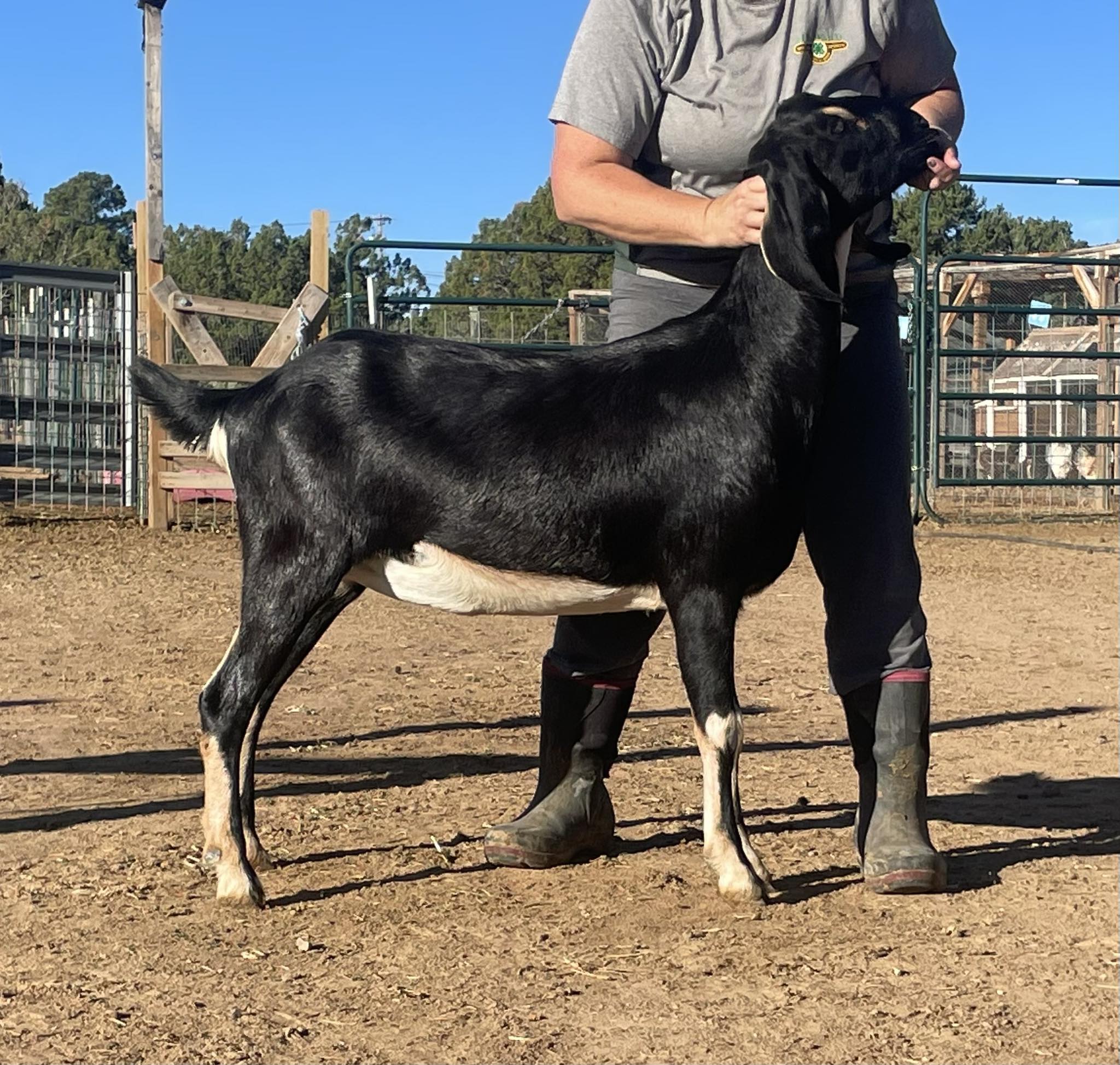 Lily’s Ridge Ranch