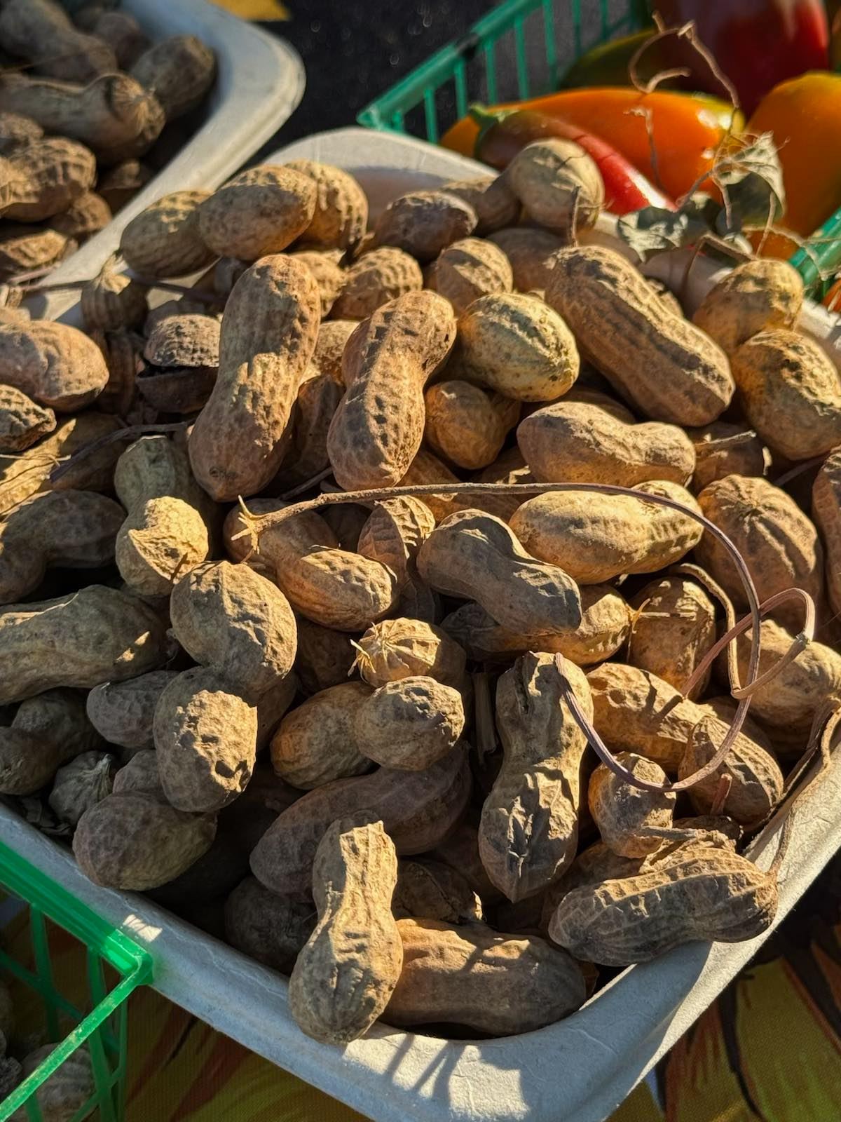Placer - 🥜 A first for our market — fresh peanuts, straight from the ...