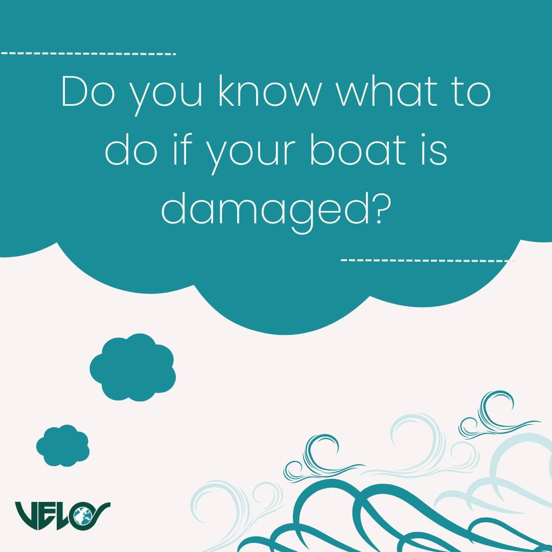 Velos Insurance