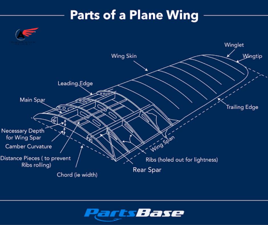 Aviation - Let’s Break Down the Wing! The wing isn’t just one big ...