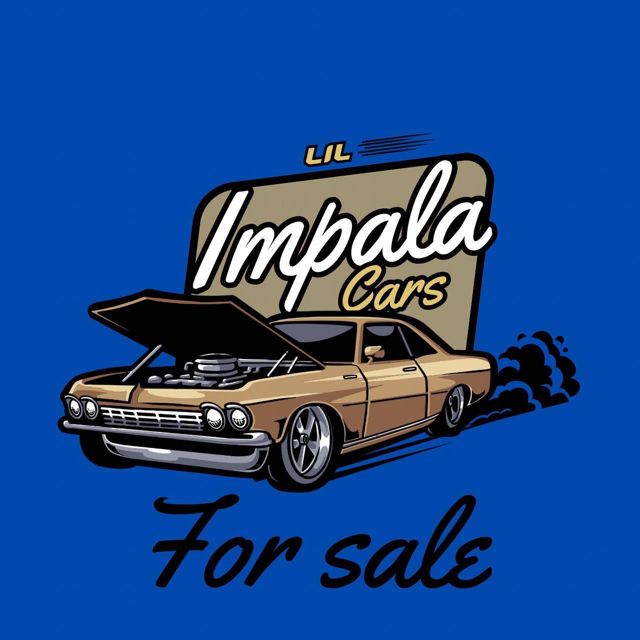 Introduce your kids to lower rides, we build all rc pedal mini impala ...