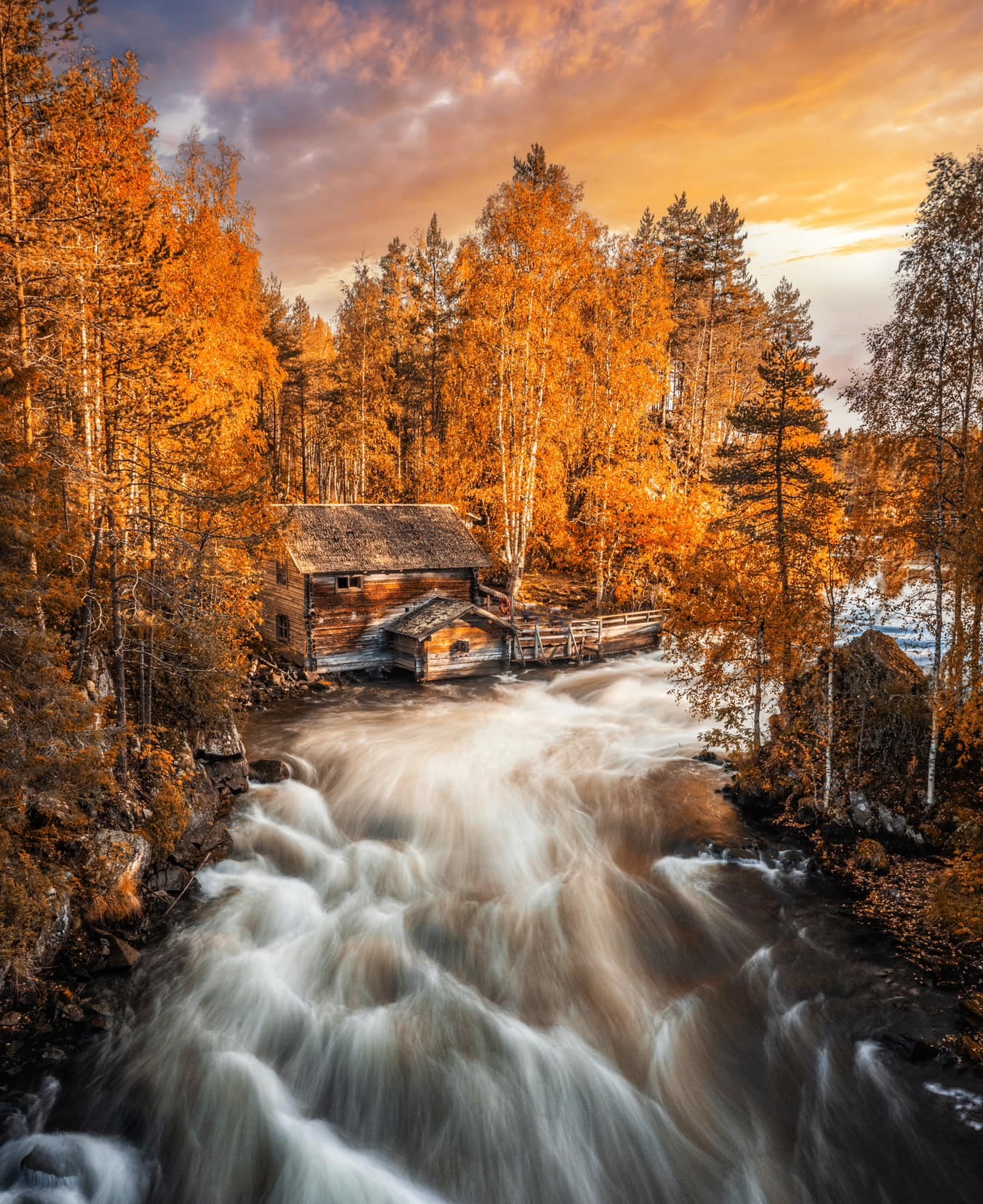 The beauty of ruska colours in... - Discovering Finland