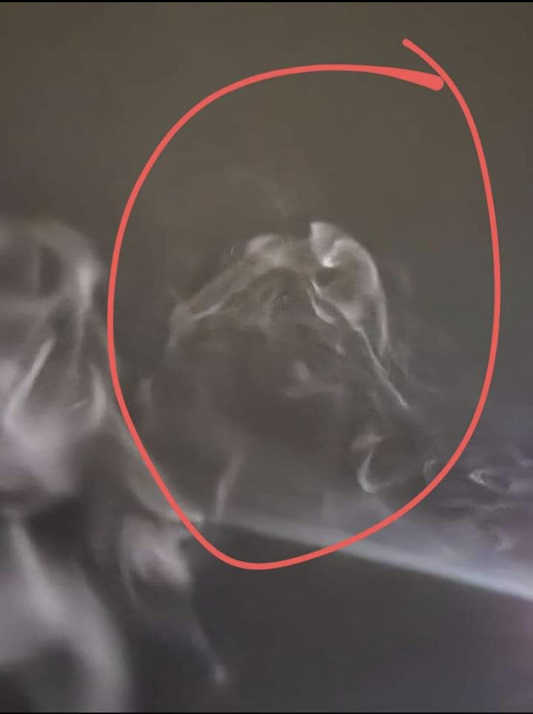 Was smoking and exhaled a demon or something cause I went home and saw a  face in the smoke🫩