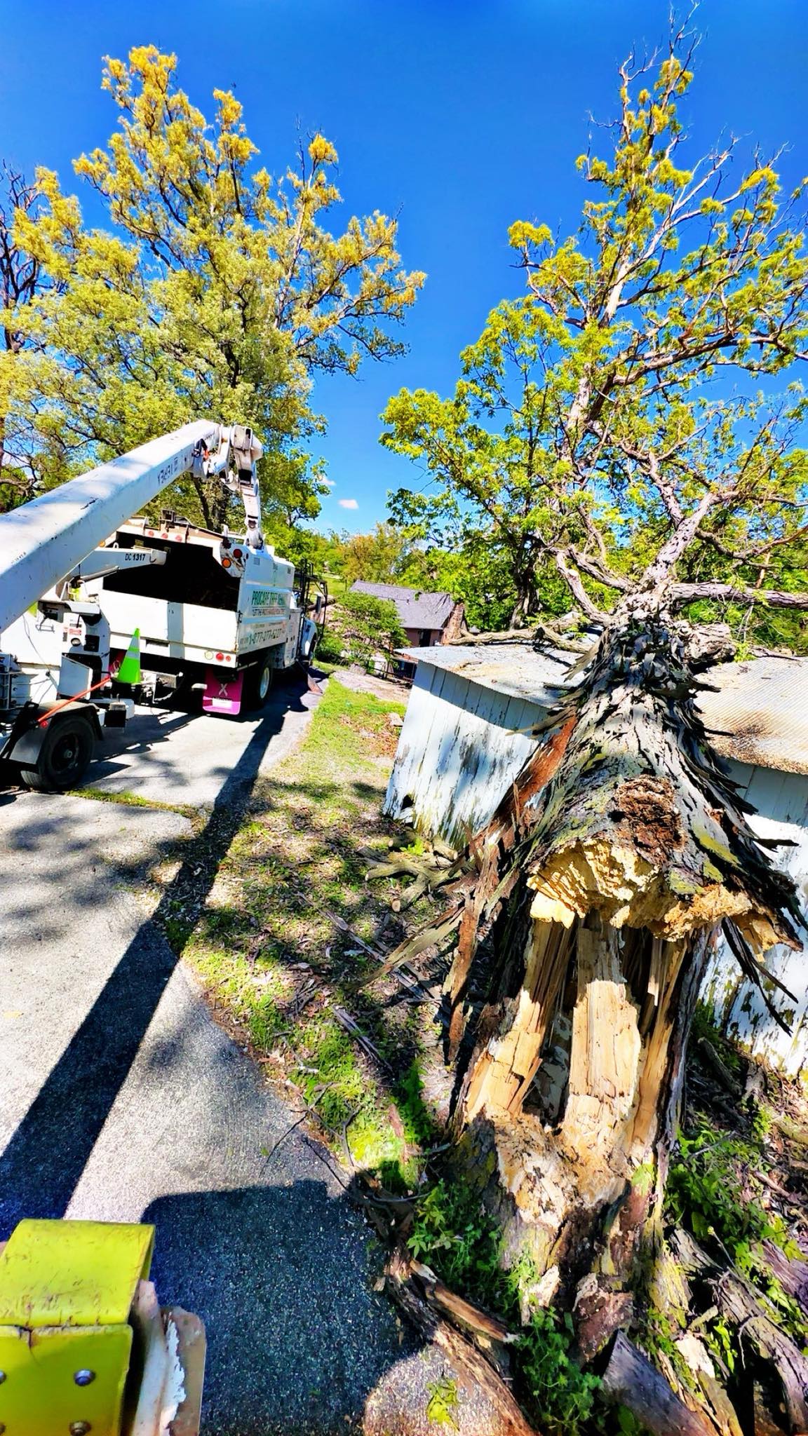 ProCare Tree Service LLC | Hannibal MO