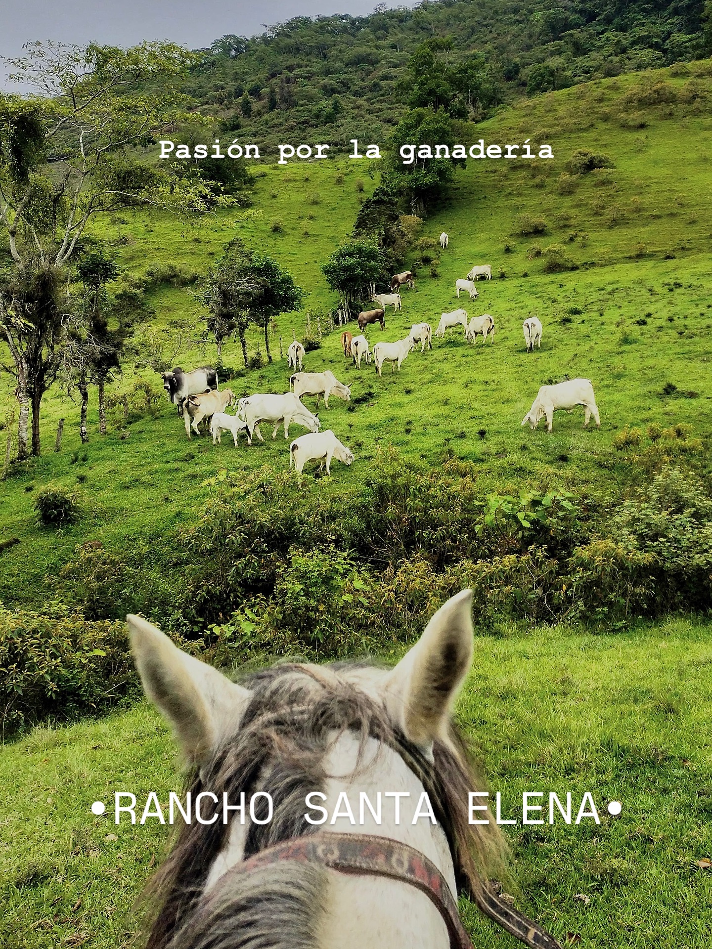 Rancho Santa Elena Mx