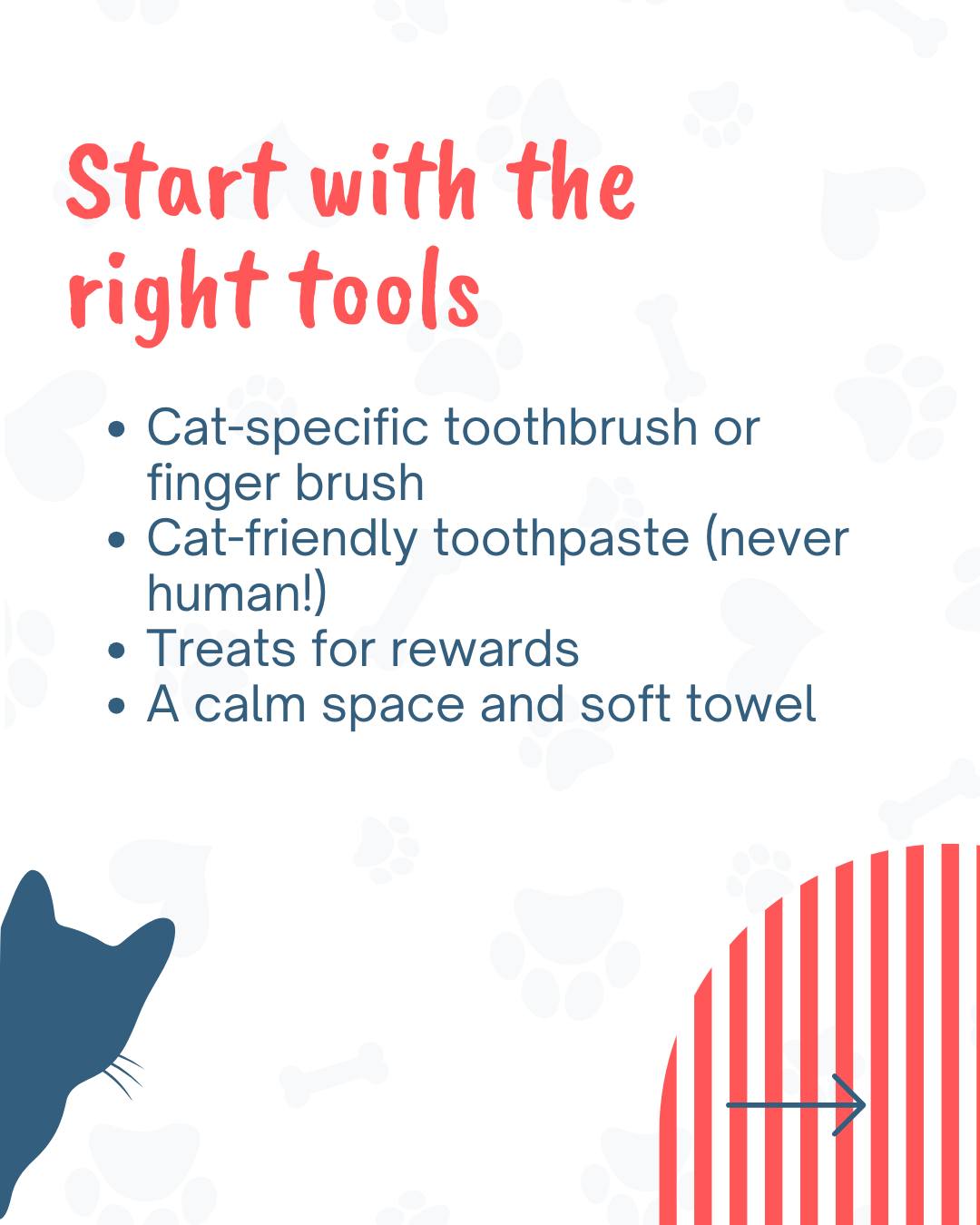 Veterinarian performing a professional dental cleaning on a sedated cat