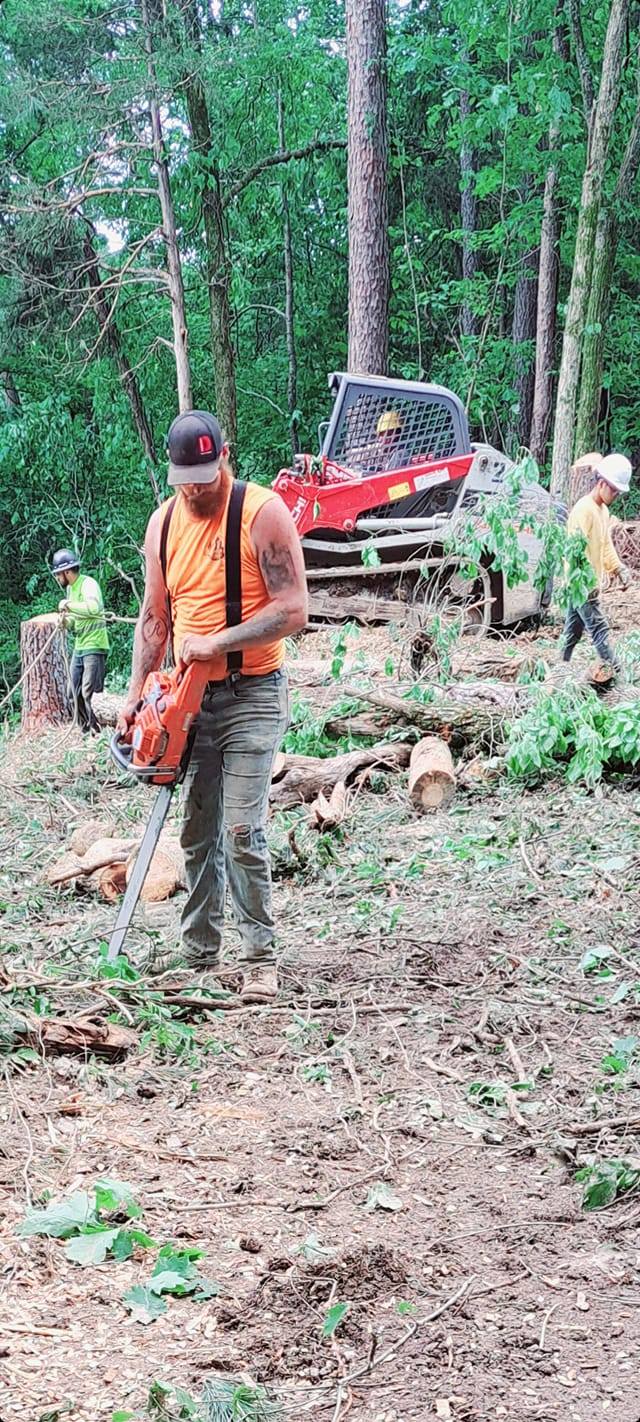 Riggins tree services