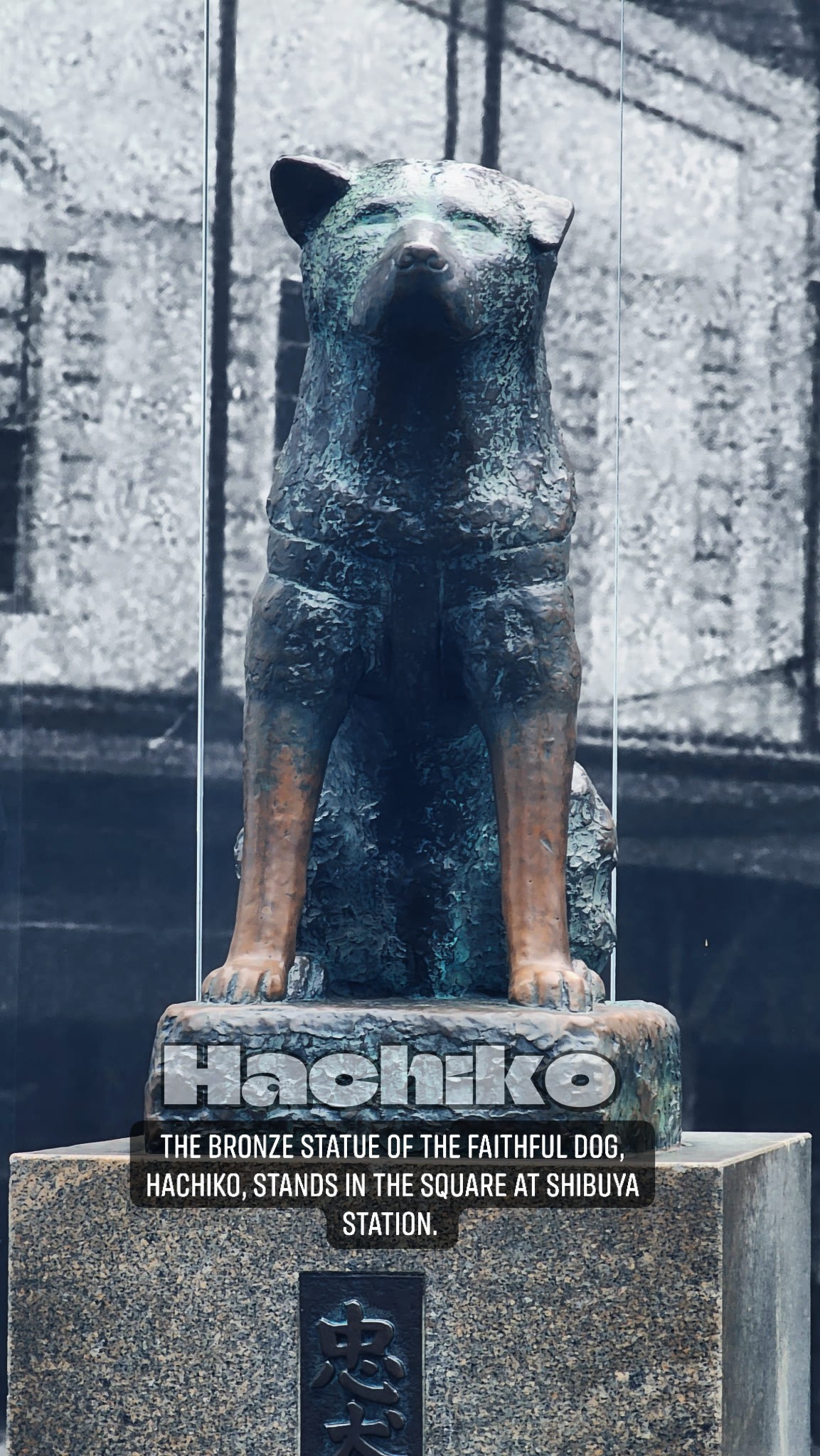 Hachiko statue in Shibuya, Tokyo, Japan