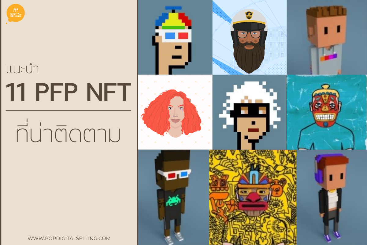 แนะนำ 11 PFP NFT ที่น่าติดตาม .... - สร้างรายได้จากงานศิลปะ | Facebook