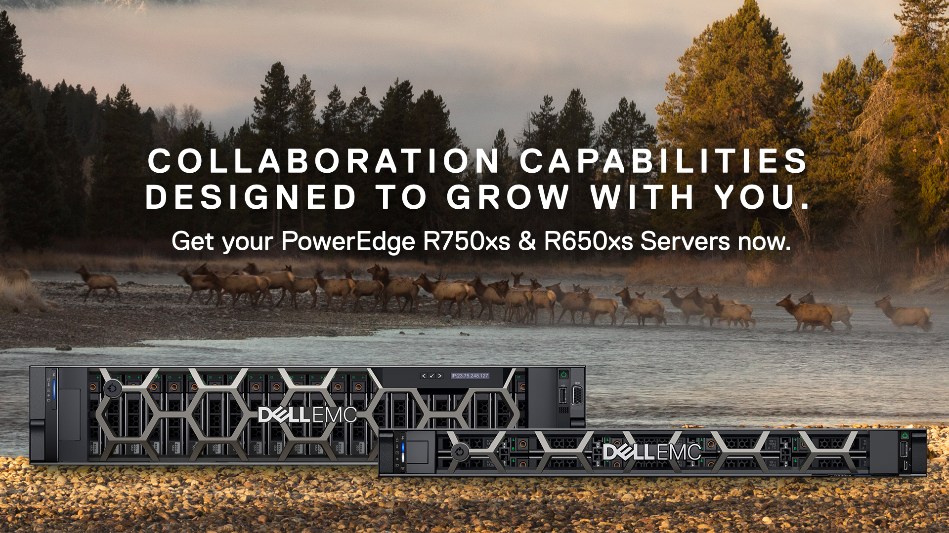 The new Dell EMC... - Pinnacle Distribution Lanka Pvt Ltd | Facebook
