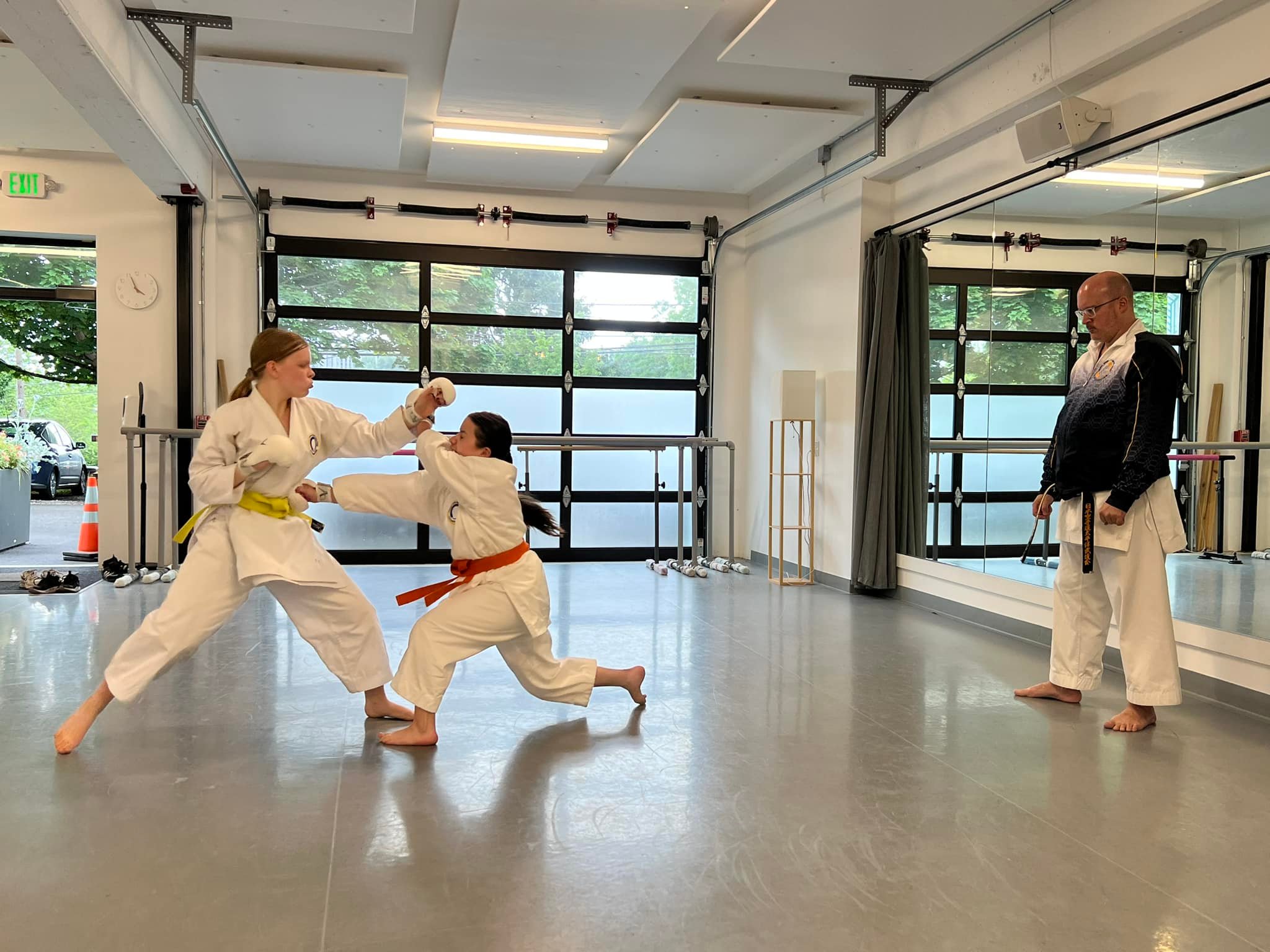 Pacific Shito-Ryu Karate Dojo, LLC