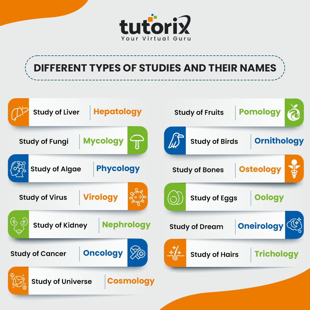 Tutorix - Explore Different Types of Studies and Their Unique Names ...