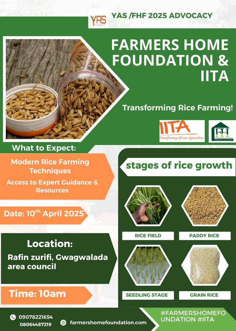 Farmers - Rice seed innovative training. Master the A-Z STEPS of Rice ...
