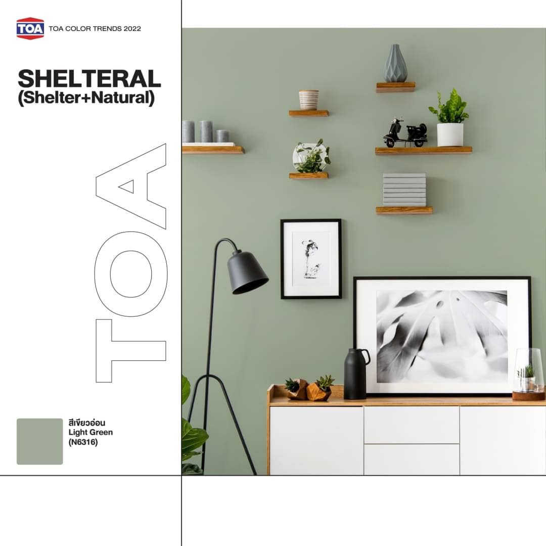 New TOA Color Trends 2022 ★ SHELTERAL (Shelter+Natural) LIGHT GREEN สี ...