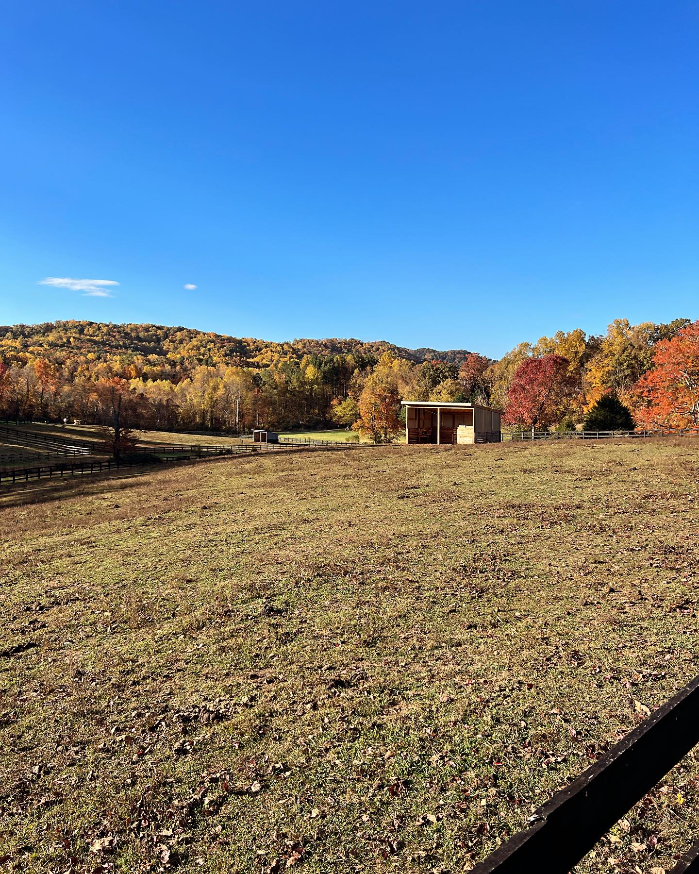 Cannon Ridge Farm | Afton VA