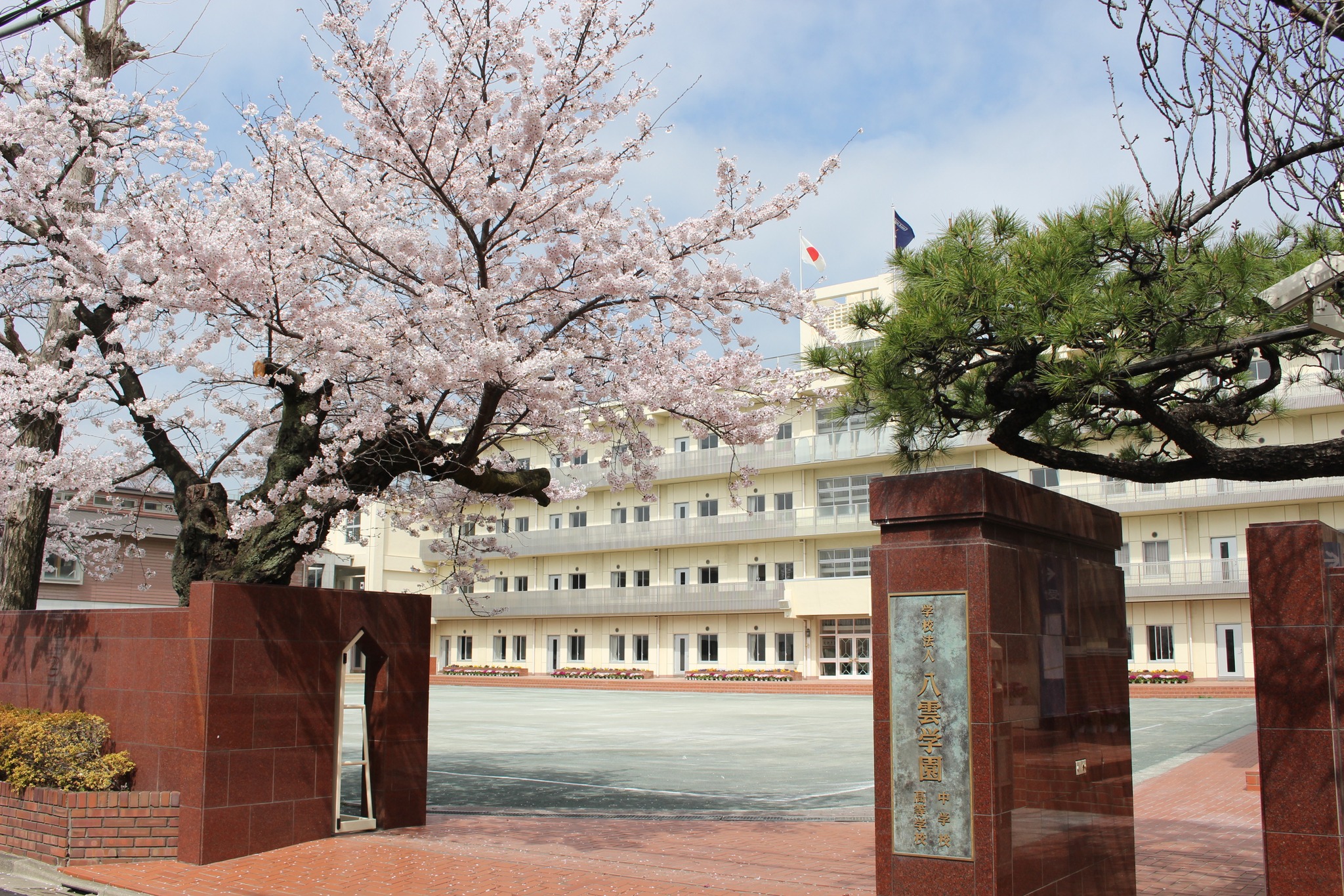 八雲 学園 中学校 高等 学校