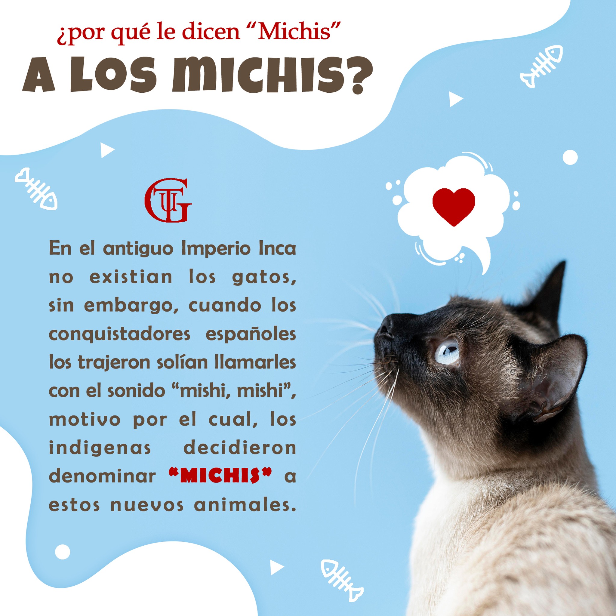 GTU Campus Guadalupe - Y tú... ¿ya lo sabías? 👇🏻🐱 En la lengua Maya se ...