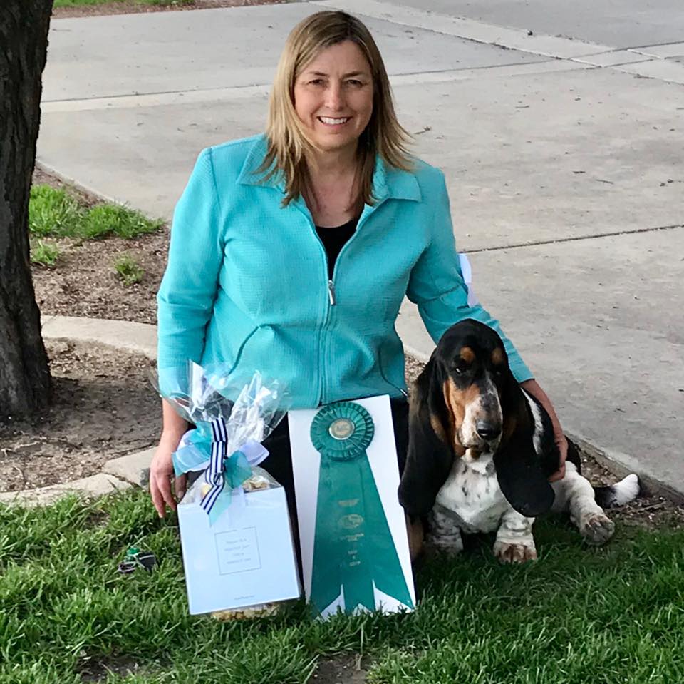We offer year-round... - Synergy Dog Training and Behavior | Facebook