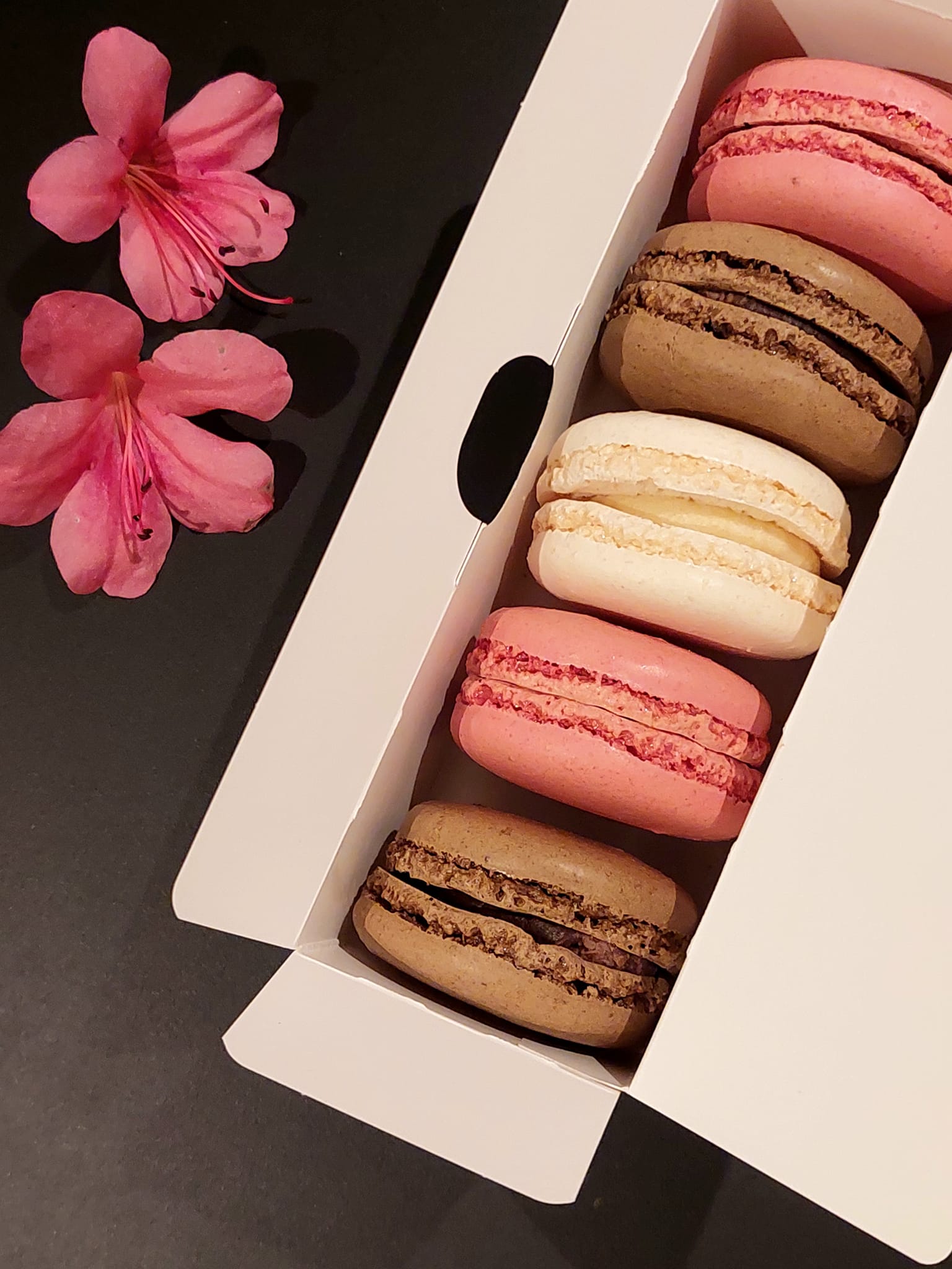 Macdonald's in Japan has macarons. マカロン マカロンチョコレート