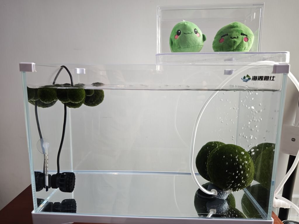 💚 まりもの雫 Marimo no Shizuku — Marimo Droplet I've created my
