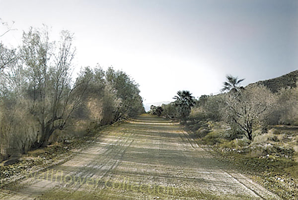 Discovering Zzyzx Road in the Mojave Desert