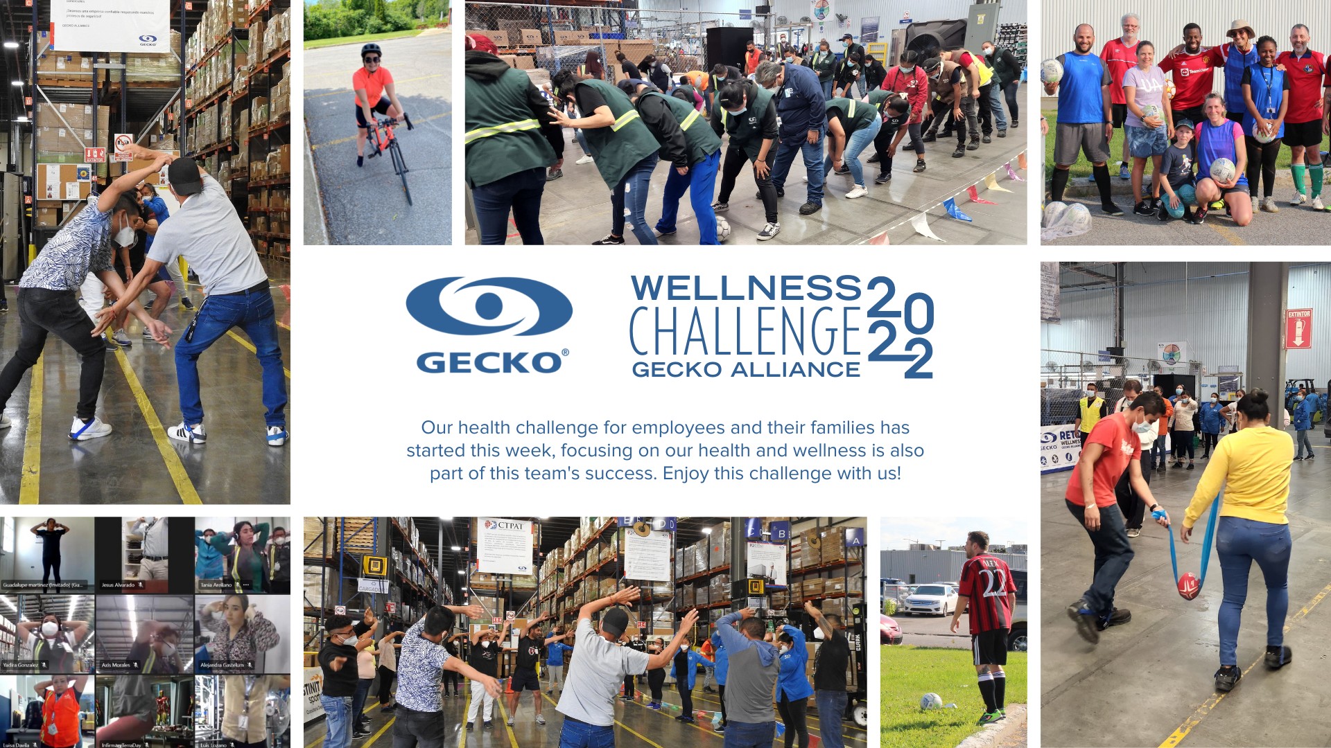 Gecko - Our Health Challenge 2022 for employees and their families has ...