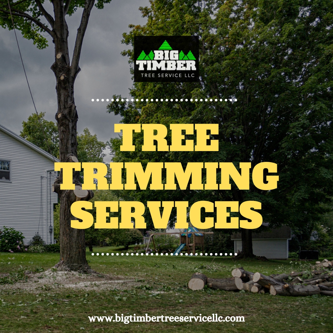 Big Timber Tree Service LLC | Marlton NJ