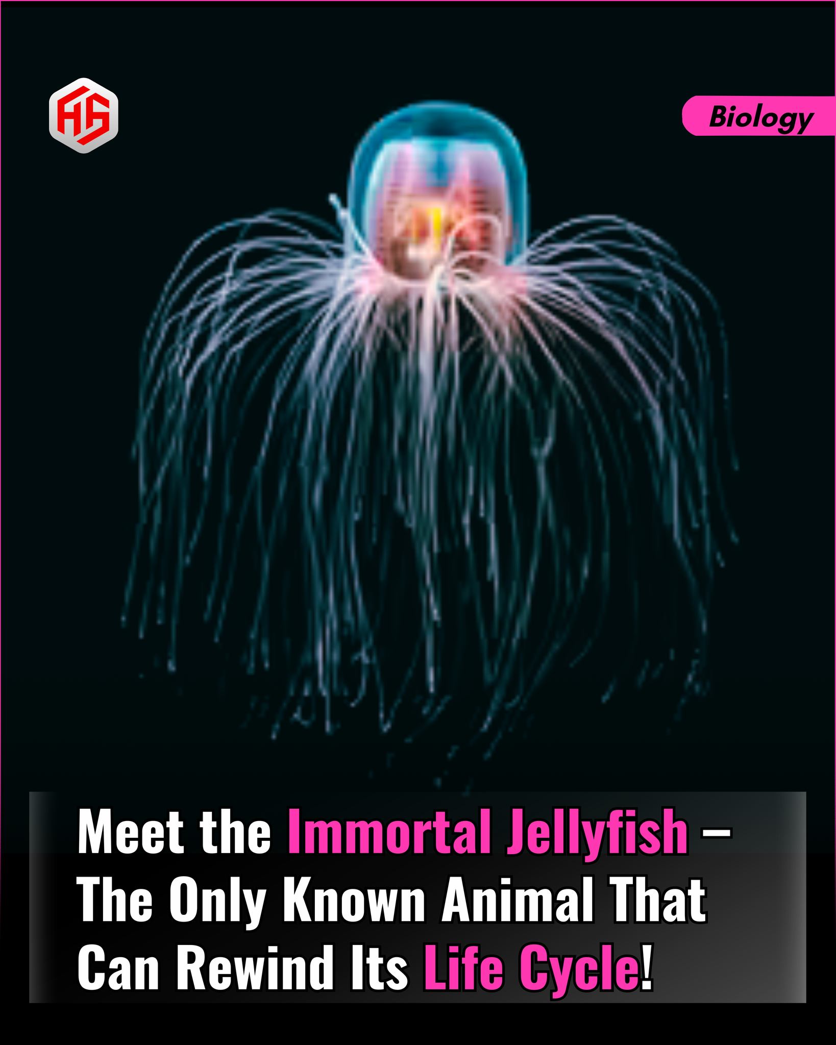 AyE sciEncE - 🧬🔬 Meet the Immortal Jellyfish – Turritopsis... | Facebook