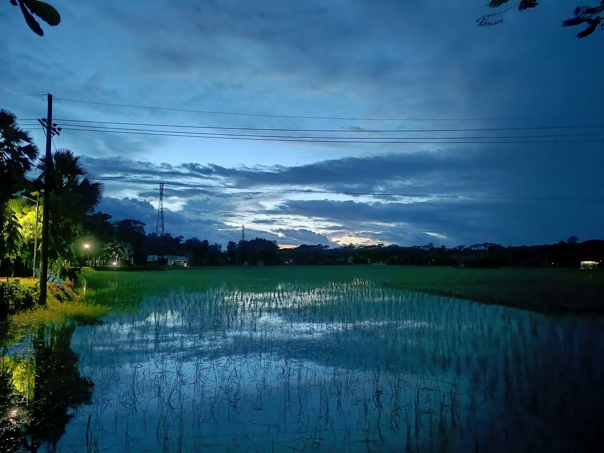 Beauty of Patharghata | Patharghata