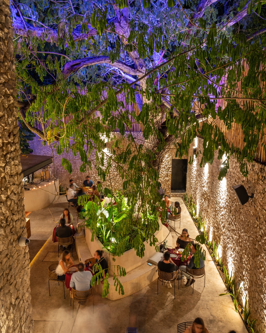 Disfruta de un ambiente... - Restaurante Hacienda Teya | Facebook