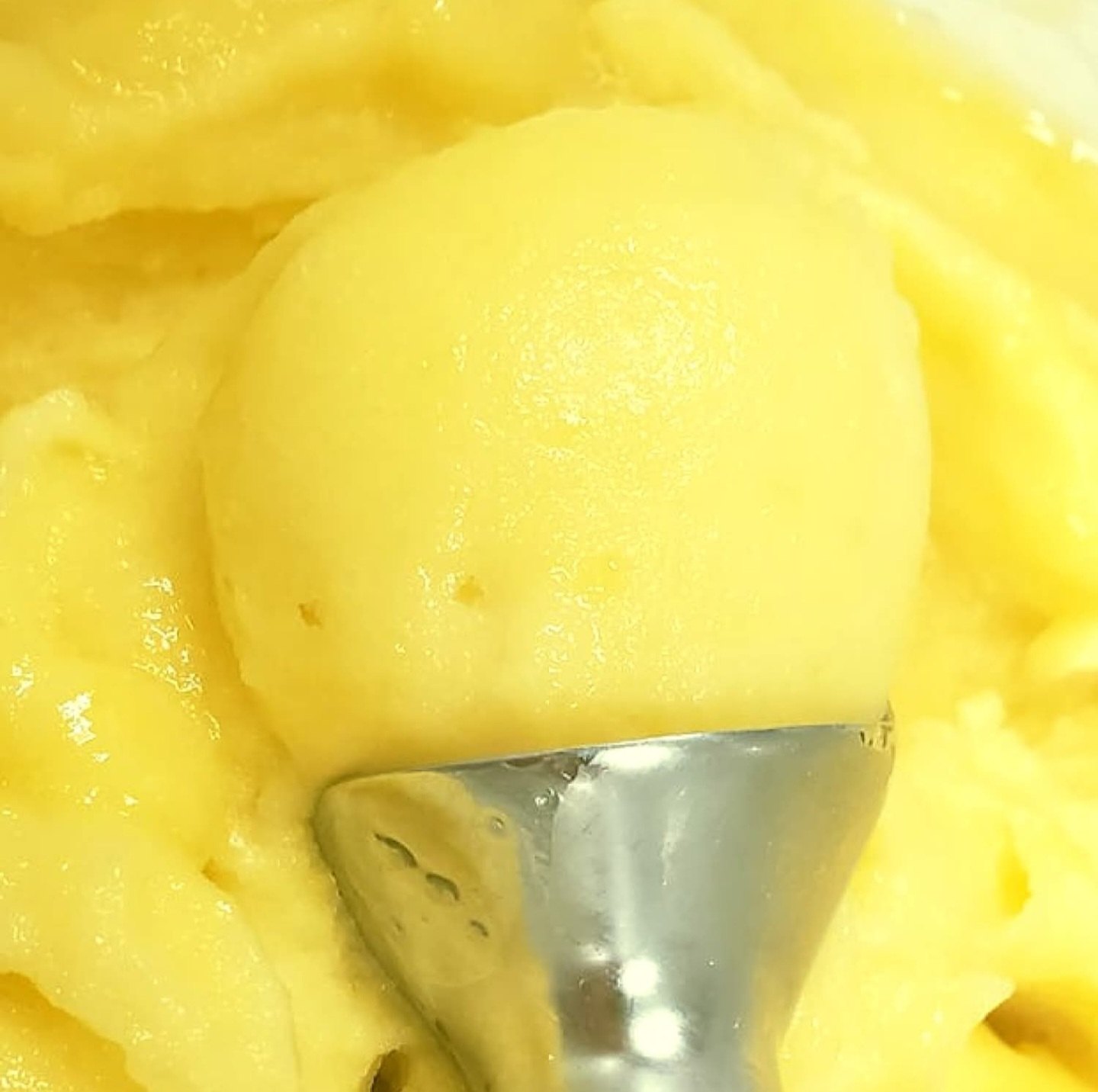 Singers - Have you tried our SORBETS? Made in-house using real fruit ...