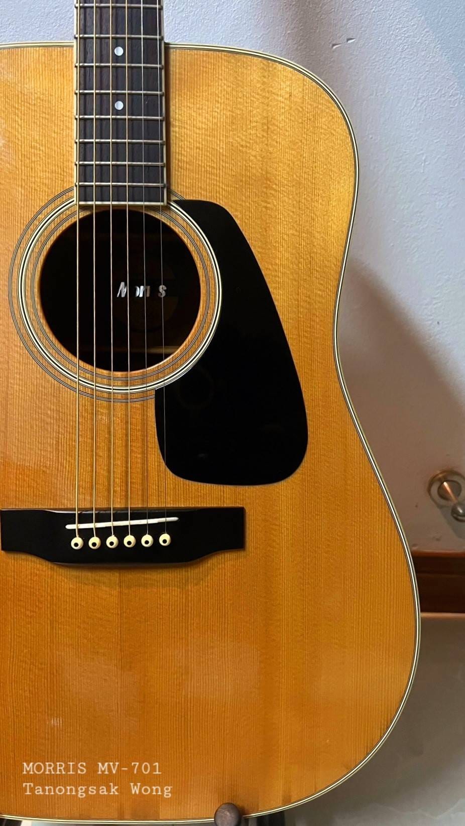 MORRIS MV-701, TOP SOLID” Vintage MADE IN JAPAN 1982, Vanguard