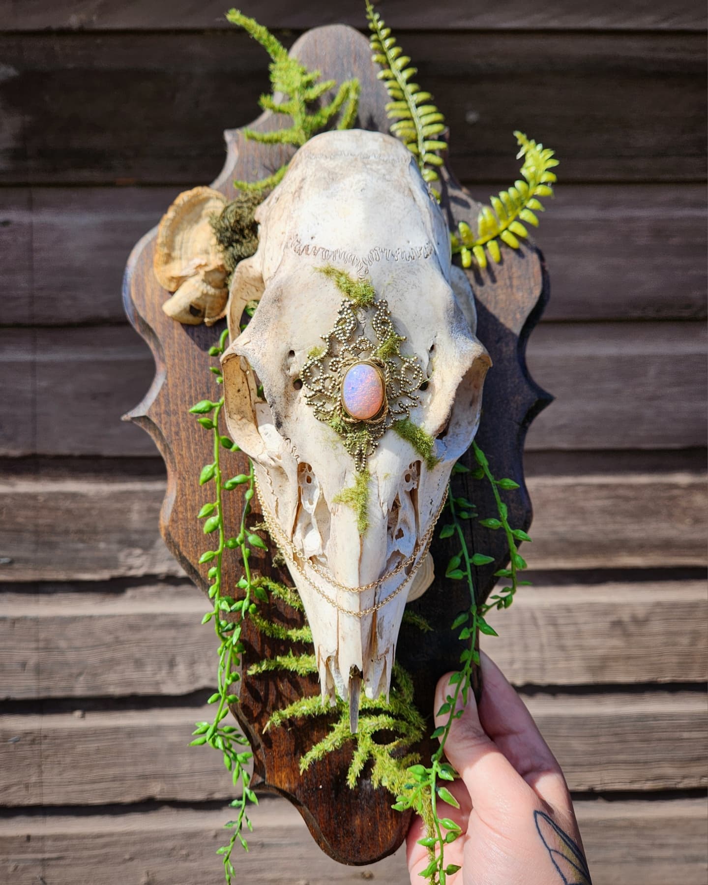 Edit: S0LD Deer on handmade plaque with gold accents, imitation