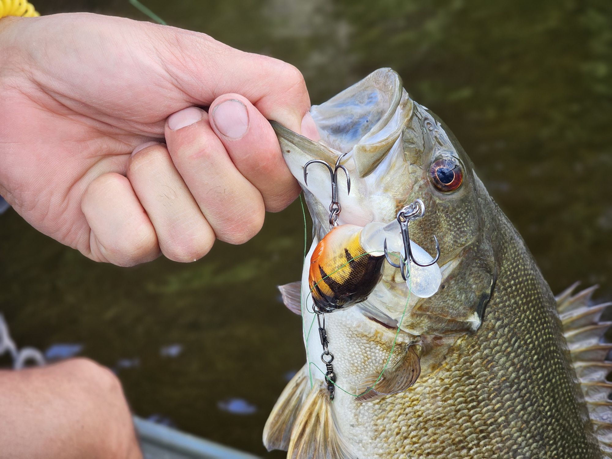 canada fishing lure tips Flag Spinner Bait Guide for Bass