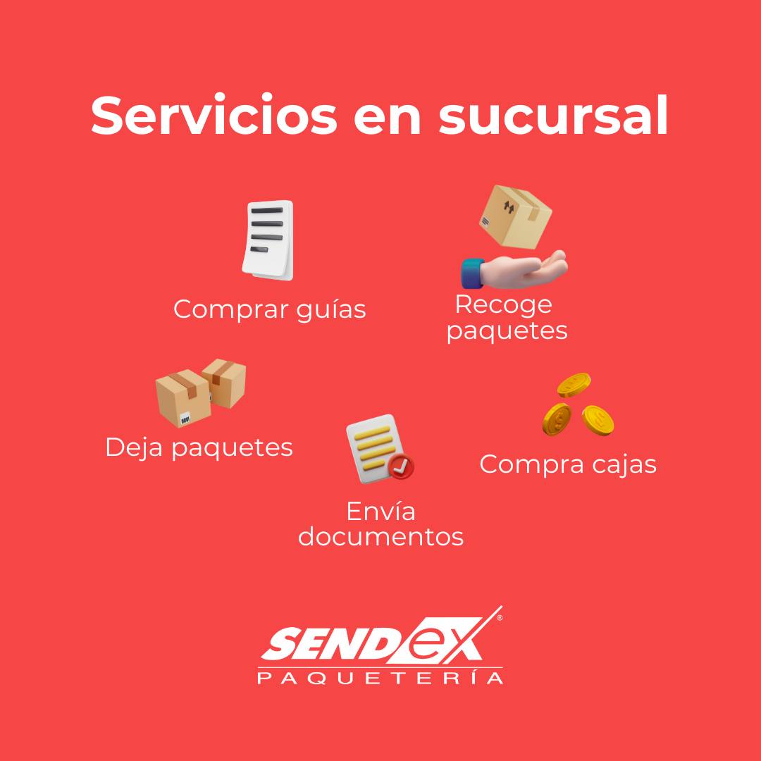 Sendex - Conoce todo lo que puedes hacer al visitar una...