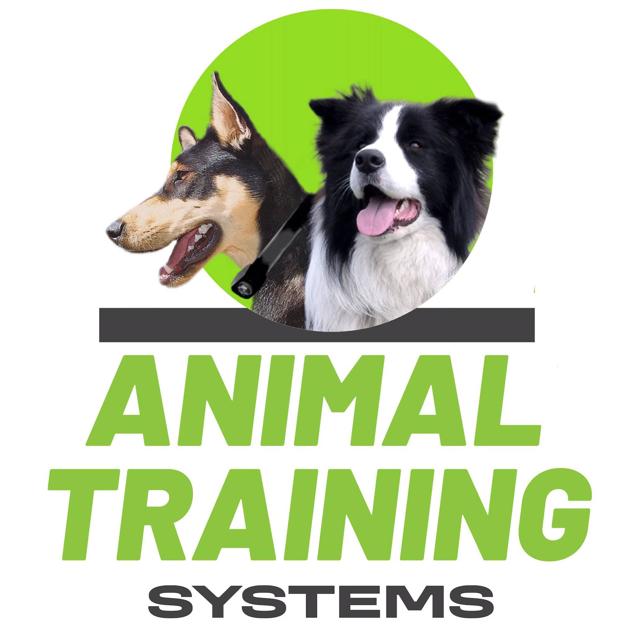 The best and lowest cost solution to dog containment on blocks of land ...