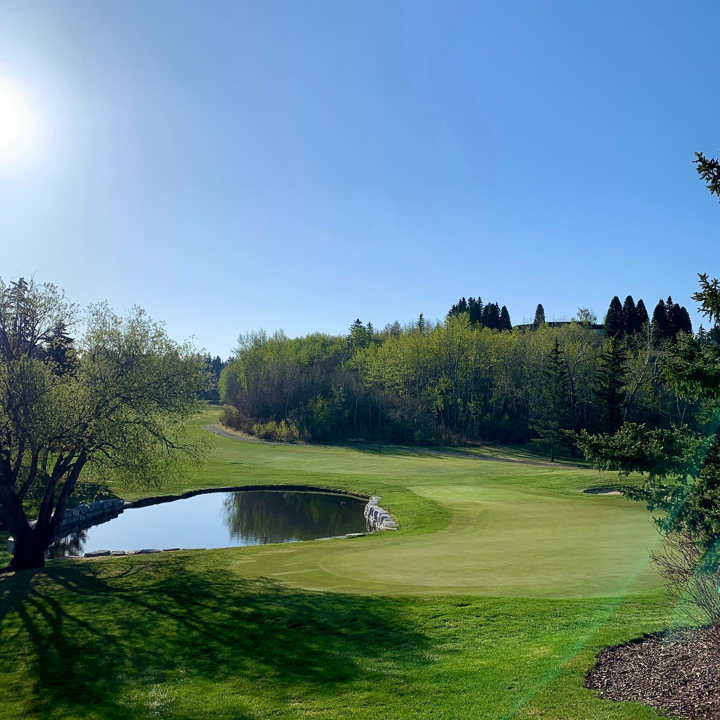 The countdown begins... - Silver Springs Golf & Country Club | Facebook